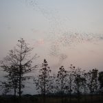 DSC00005